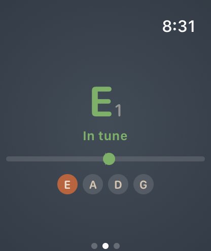 Apple Watch showing a tuner with the low E string in tune